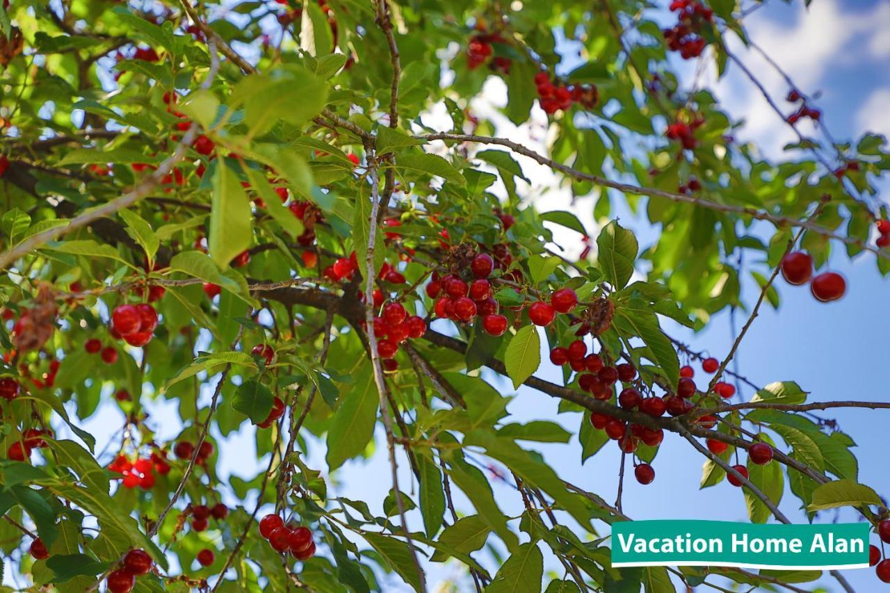 Vacation Home Alan 2 Kulen Vakuf Kültér fotó
